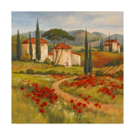 Barbara Mock ' Tuscan Dream' Canvas Art,24x24